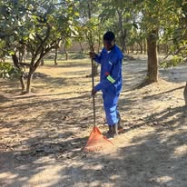 Housekeeping service photo 1